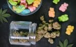 Edibles: Orally administered cannabinoids; cannabis-infused consumables