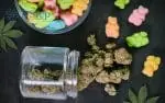 Edibles: Orally administered cannabinoids; cannabis-infused consumables