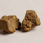 Hash: Cannabis resin