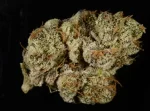 Marijuana: Cannabis sativa or Cannabis indica - Image 3
