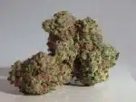 Marijuana: Cannabis sativa or Cannabis indica - Image 2